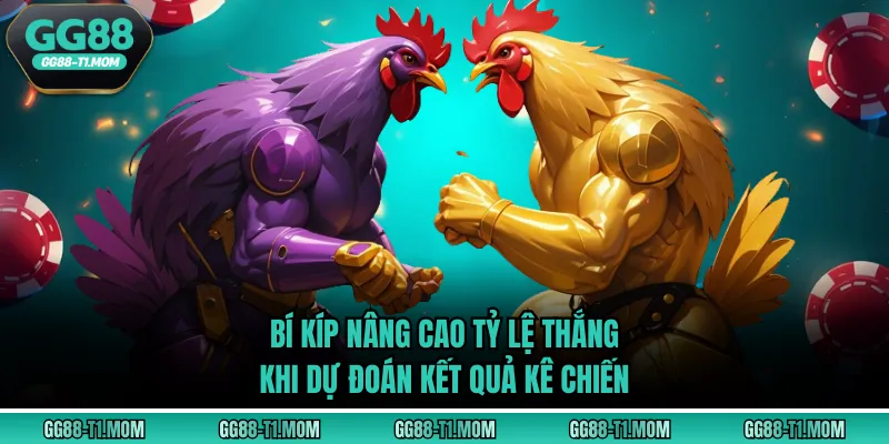 Bí kíp nâng cao tỷ lệ thắng khi dự đoán kết quả kê chiến