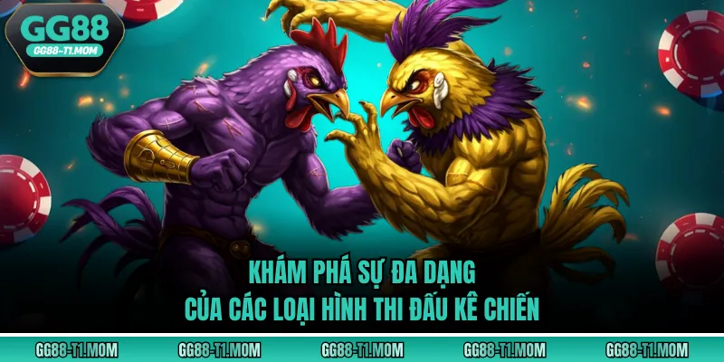 Khám phá sự đa dạng của các loại hình thi đấu kê chiến