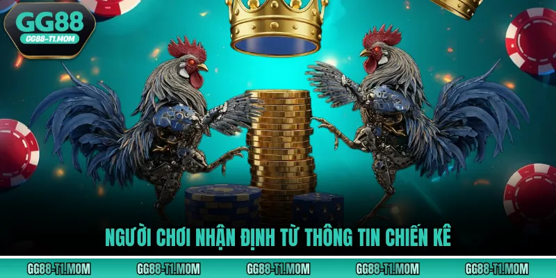 Người chơi nhận định từ thông tin chiến kê